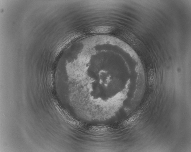 X0000057060351200509231538