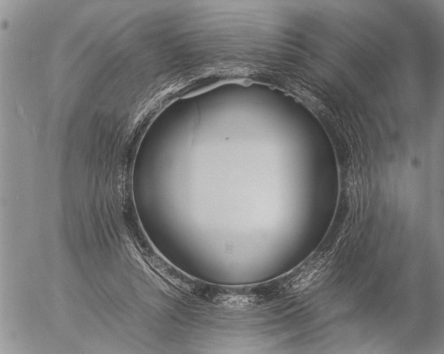 X0000057060352200509231538