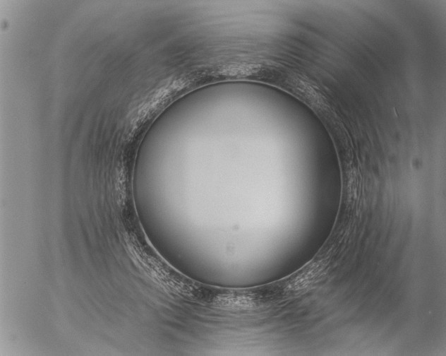 X0000057060354200509231538