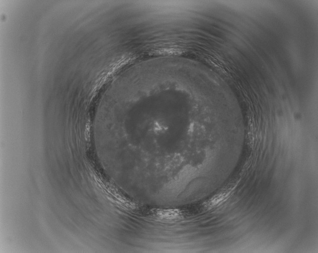 X0000057060355200509231538