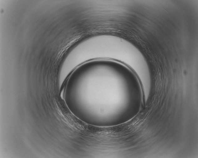 X0000057060356200509231538