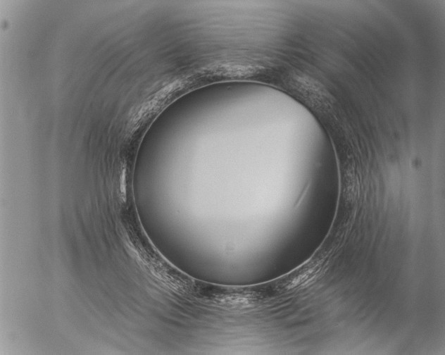 X0000057060358200509231538