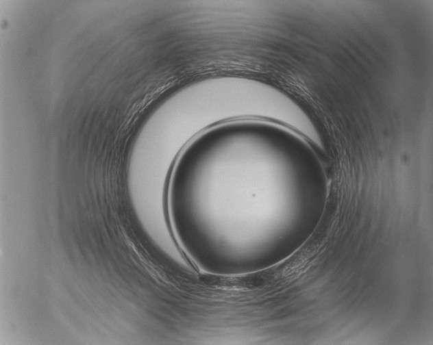 X0000057060360200509231538