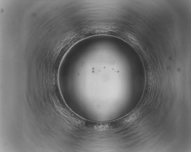 X0000057060362200509231538