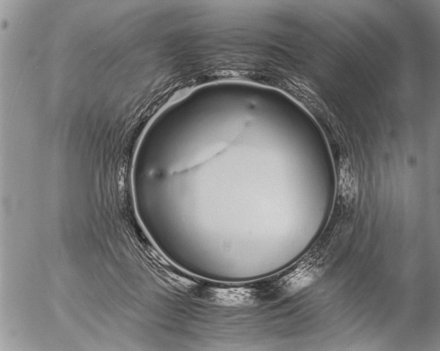 X0000057060363200509231538