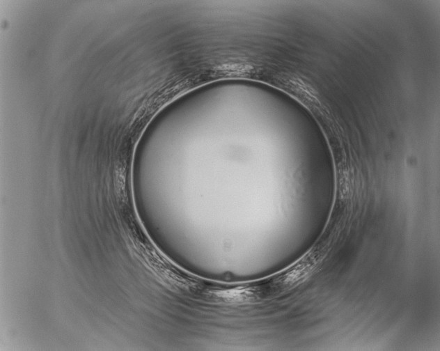 X0000057060365200509231538