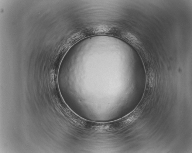 X0000057060366200509231538