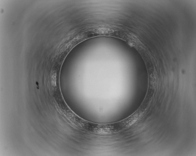 X0000057060368200509231538