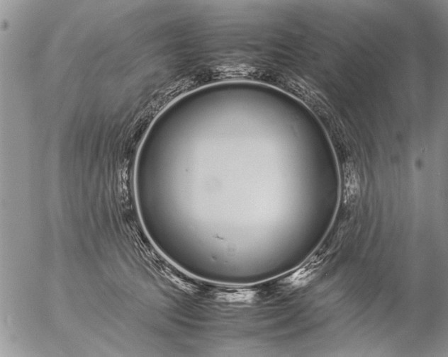 X0000057060369200509231538