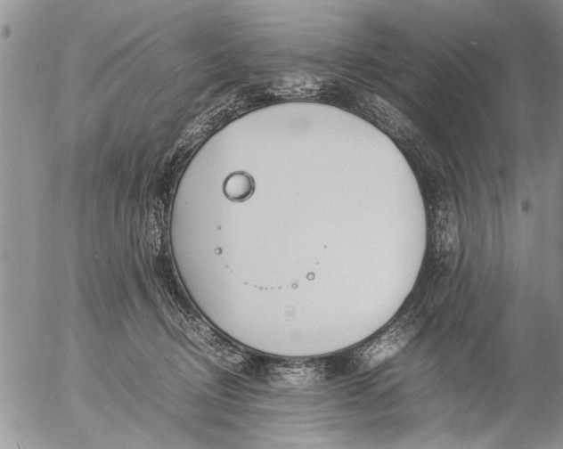 X0000057060370200509231538