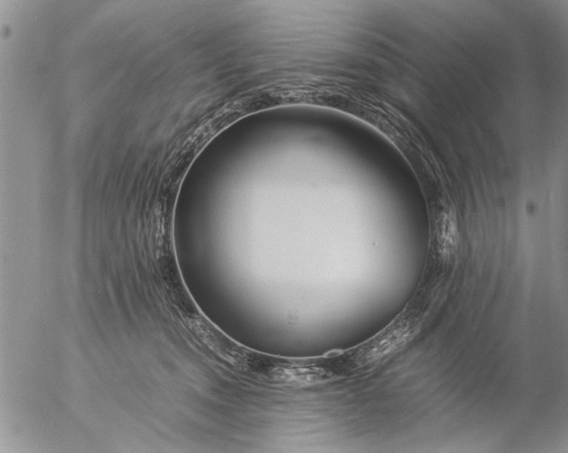 X0000057060372200509231538