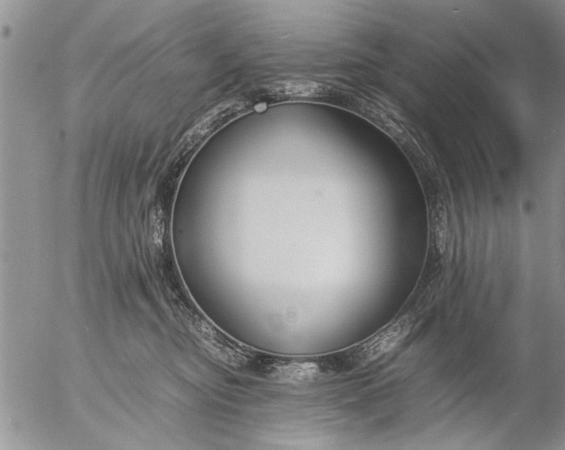 X0000057060374200509231538