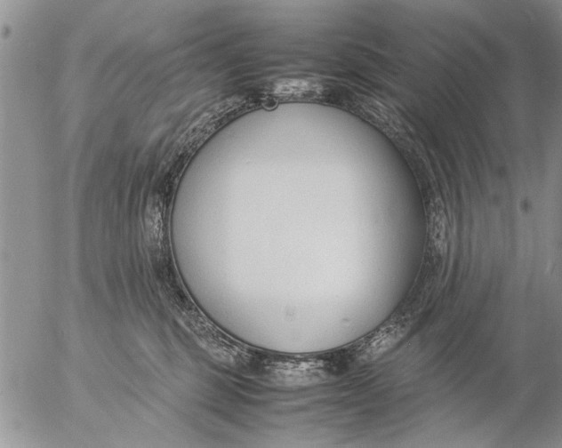 X0000057060375200509231538