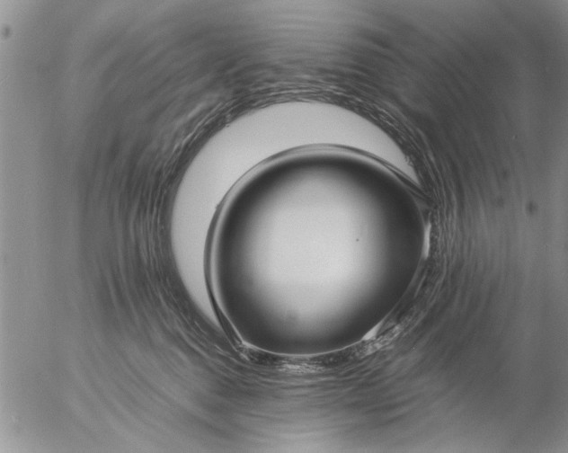 X0000057060376200509231538