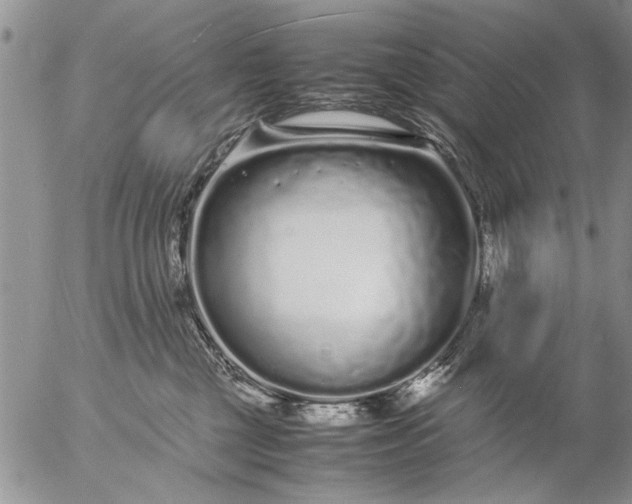 X0000057060377200509231538