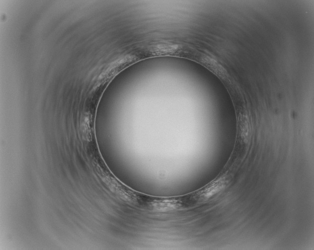 X0000057060378200509231538