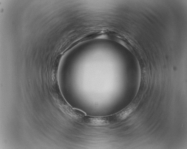 X0000057060380200509231538