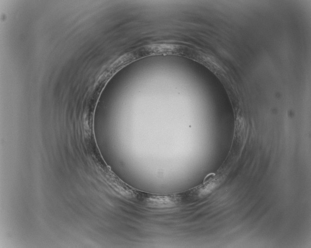 X0000057060381200509231538