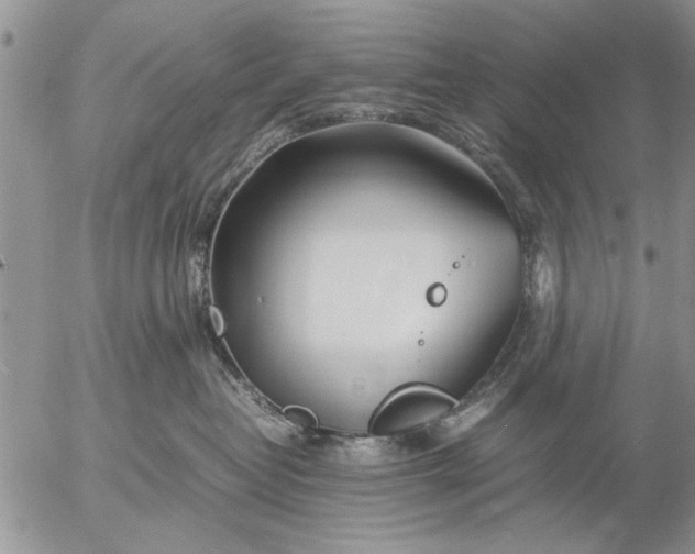 X0000057060382200509231538