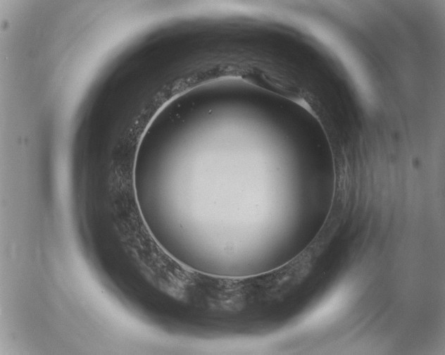 X0000057060383200509231538