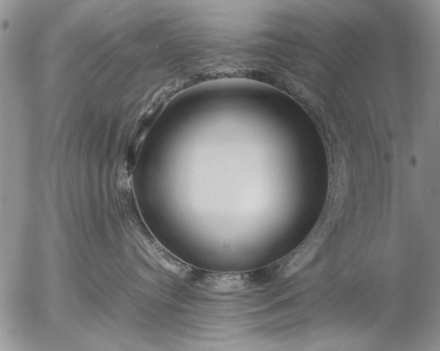 X0000057060384200509231538