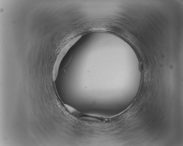 X0000057060385200509231538