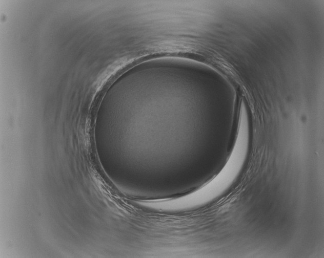 X0000057060387200509231537