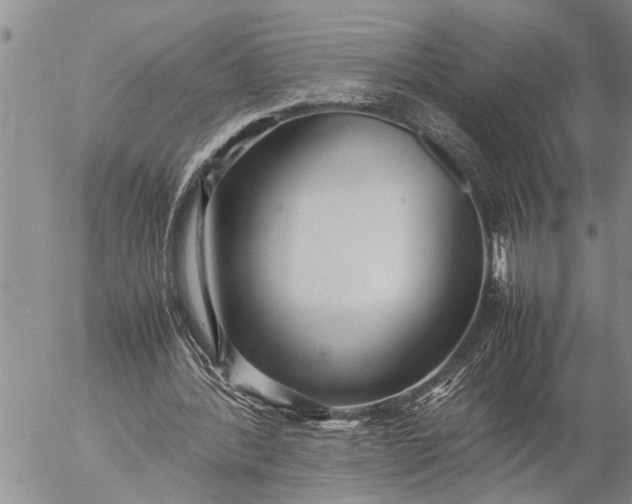 X0000057060388200509231537