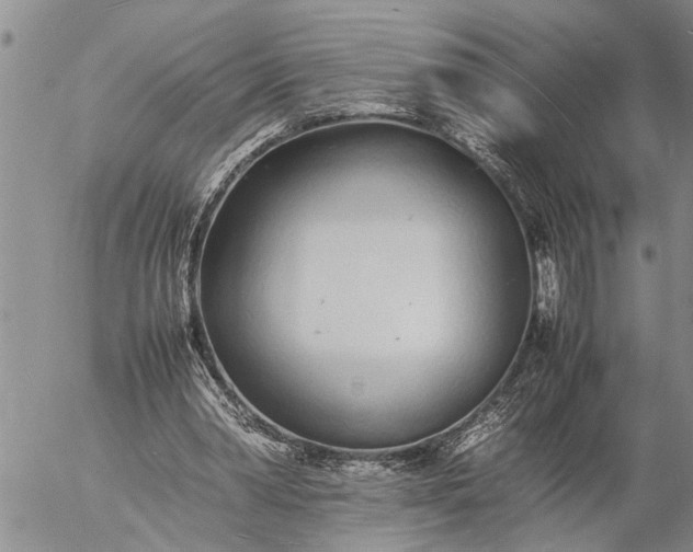 X0000057060390200509231537