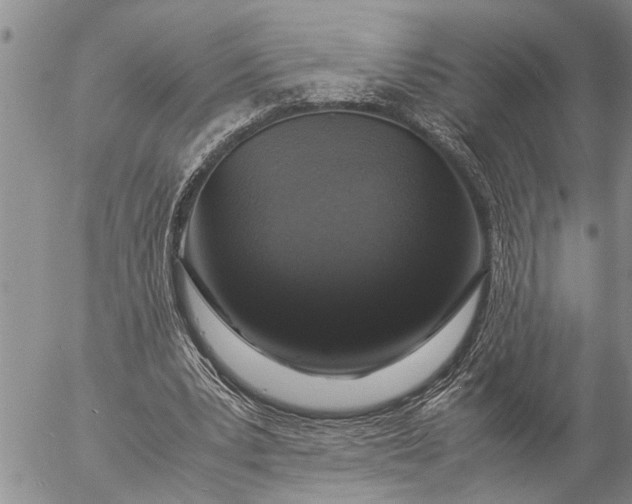 X0000057060391200509231537