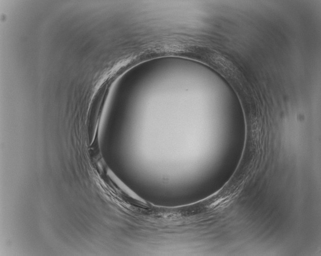 X0000057060395200509231537