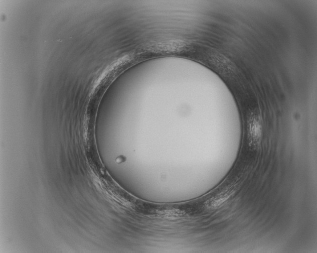 X0000057060396200509231537