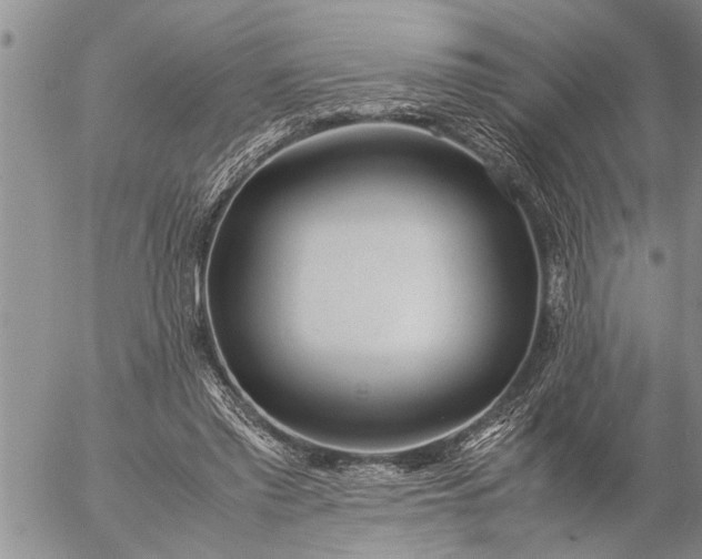 X0000057060397200509231537