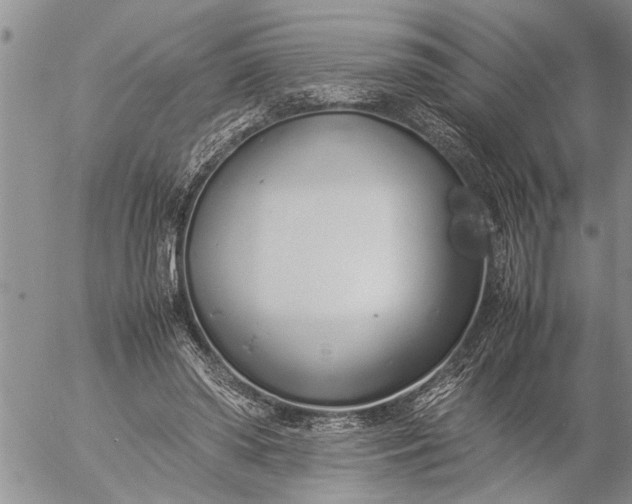 X0000057060398200509231537