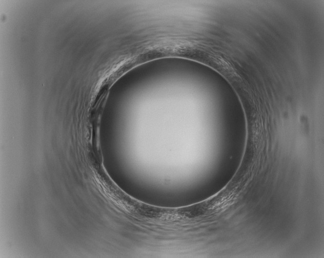 X0000057060399200509231537