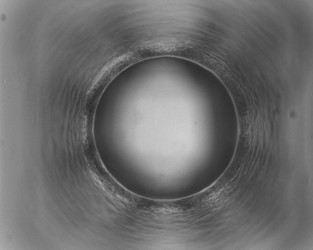 X0000057060400200509231537