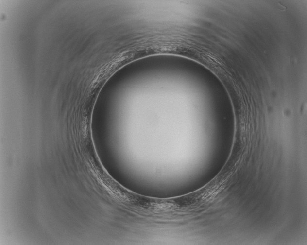 X0000057060401200509231537