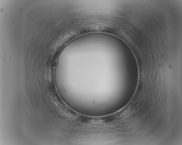 X0000057060403200509231537