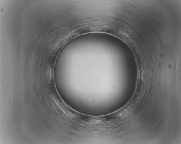 X0000057060405200509231537