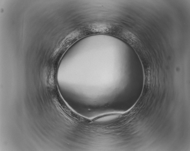 X0000057060408200509231537