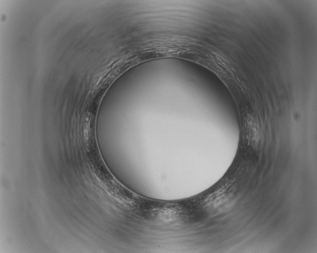 X0000057060412200509231537