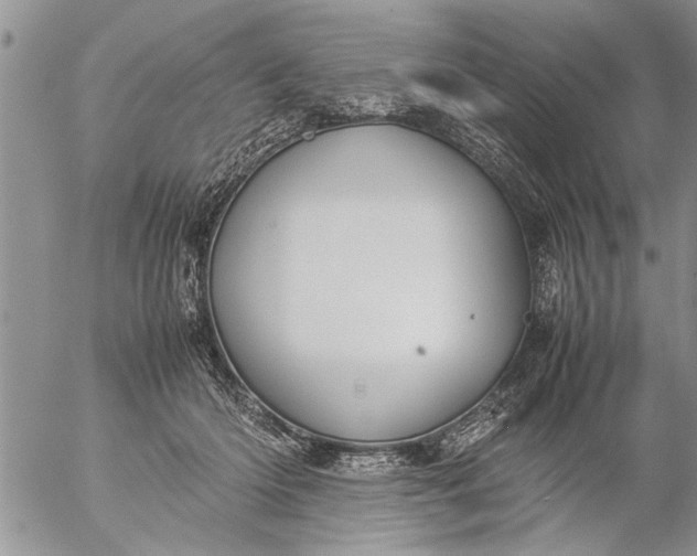 X0000057060414200509231537