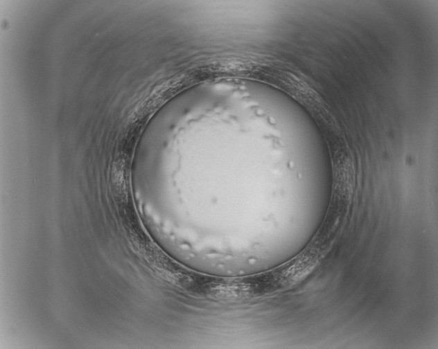 X0000057060415200509231537