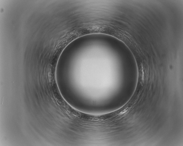 X0000057060416200509231537