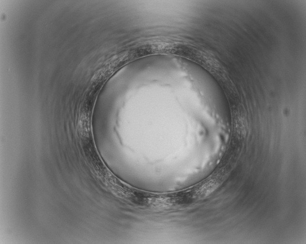 X0000057060419200509231537