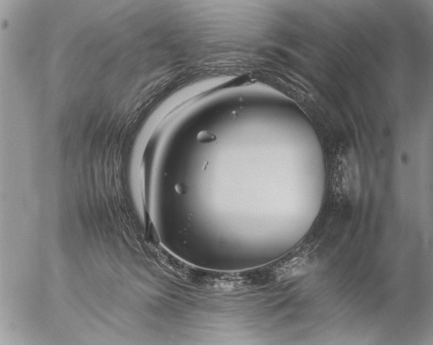 X0000057060420200509231537