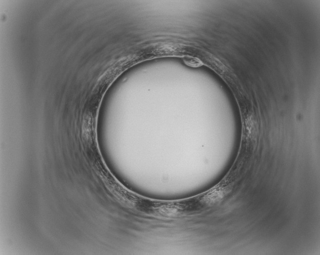 X0000057060423200509231537