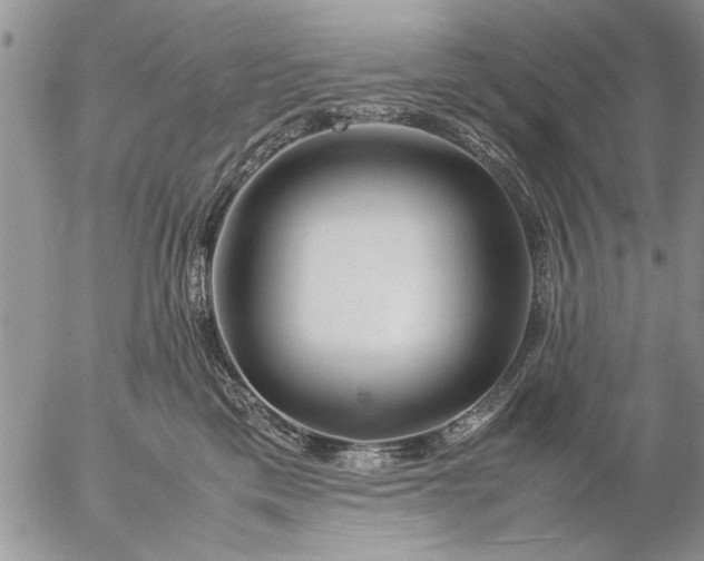 X0000057060425200509231537