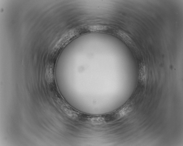 X0000057060426200509231537