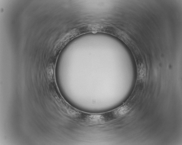 X0000057060427200509231537